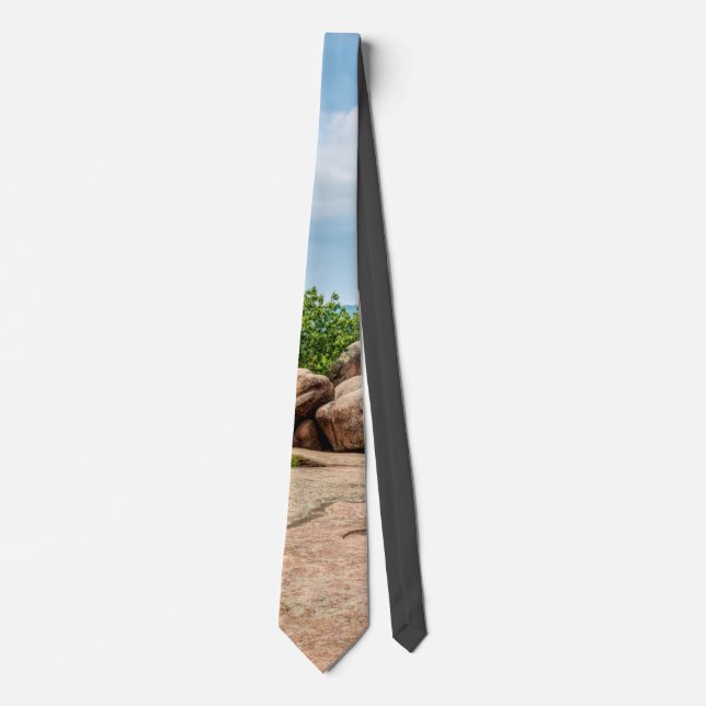 Elephant Sten State Park Neck Tie Slips (Framsida)