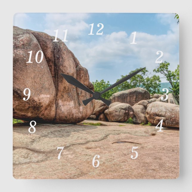 Elephant Sten State Park Wall Clock Fyrkantig Klocka (Framsida)