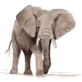 Elephant Sticker Runt Klistermärke