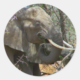 Elephant Stickers Runt Klistermärke