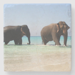 Elephant Stone Underlägg