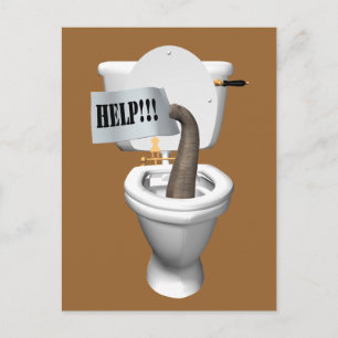 Elephant Stuck in Toilet Vykort