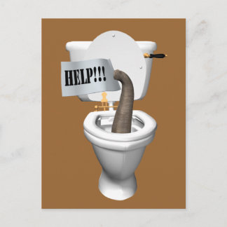 Elephant Stuck in Toilet Vykort