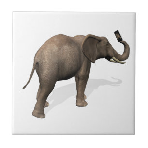 Elephant tar en Selfie Kakelplatta
