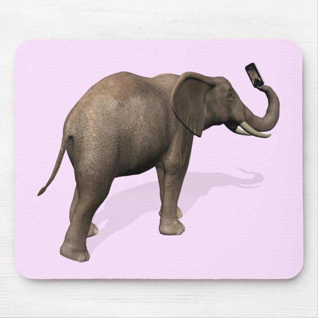 Elephant tar en Selfie Musmatta (Framsidan)
