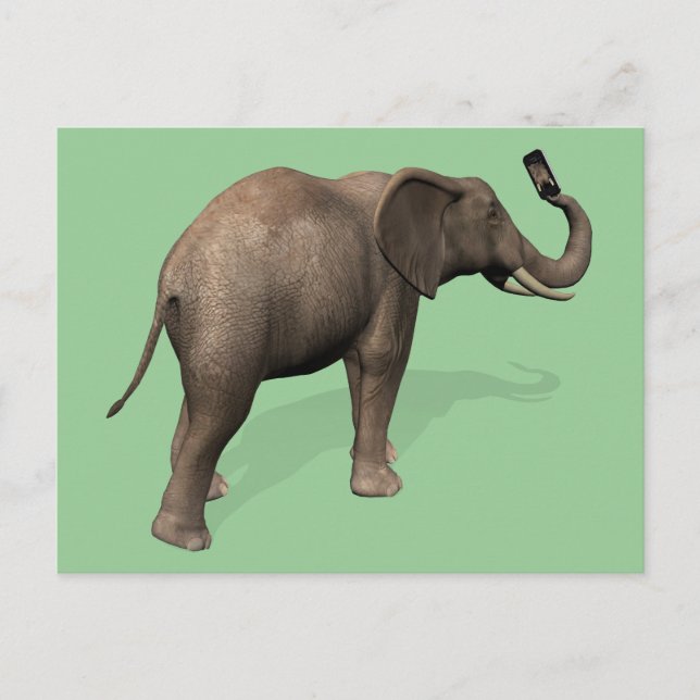 Elephant tar en Selfie Vykort (Framsida)