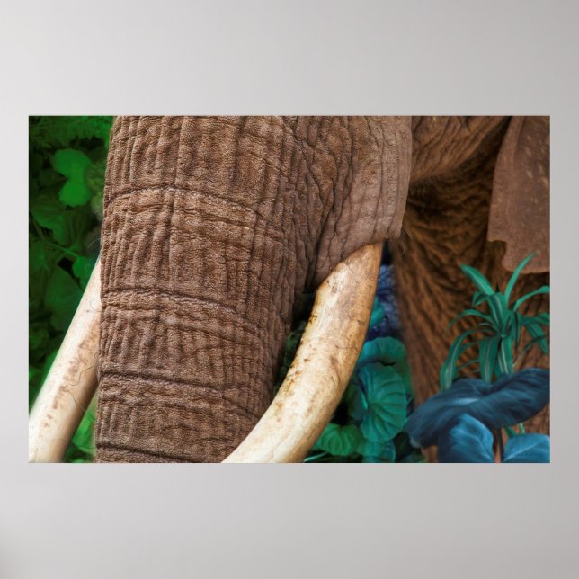 Elephant Tend My Garden Poster (Framsidan)