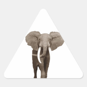 Elephant Triangelformat Klistermärke