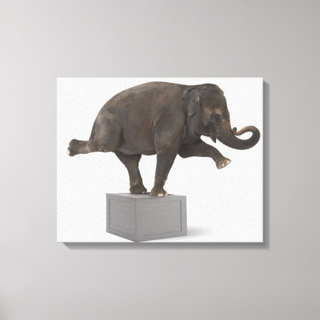 Elephant-trick-trick på låda canvastryck (Framsida)