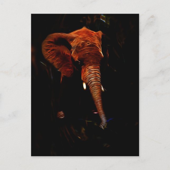Elephant trunk vykort (Framsida)