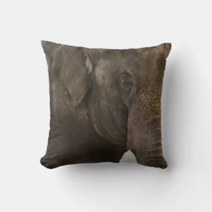 Elephant Up-Close Kudde