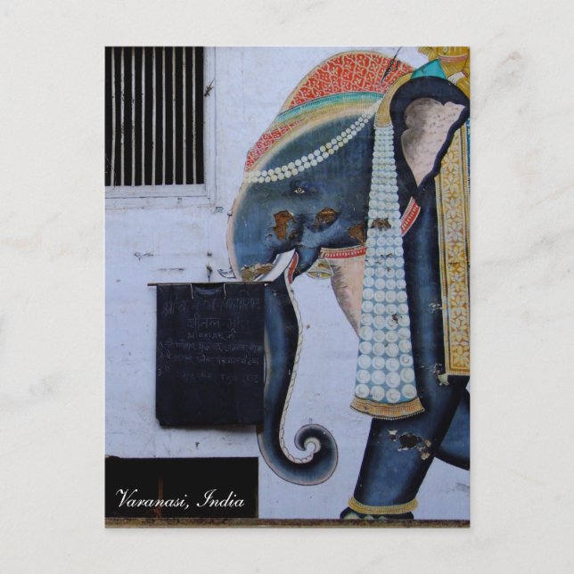 Elephant, vacker Varanasi, helgdag Indien Vykort (Framsida)