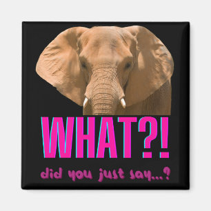 Elephant, vad sa du? magnet