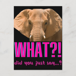 Elephant, vad sa du? vykort