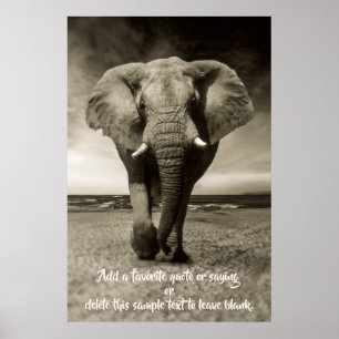 Elephant   Valfri offert, pris, text Poster