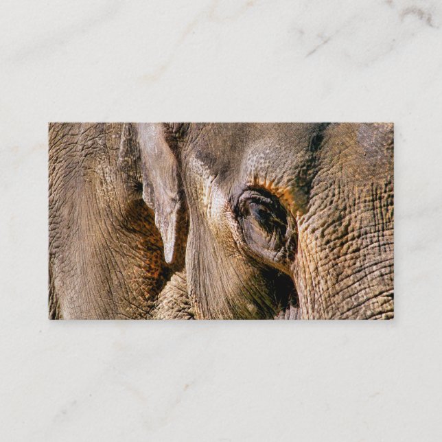 ELEPHANT VISITKORT (Framsida)