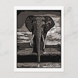 Elephant Vykort