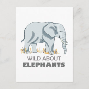 ELEPHANT VYKORT