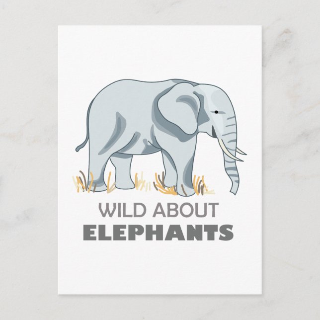 ELEPHANT VYKORT (Framsida)