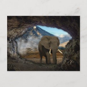 Elephant Vykort