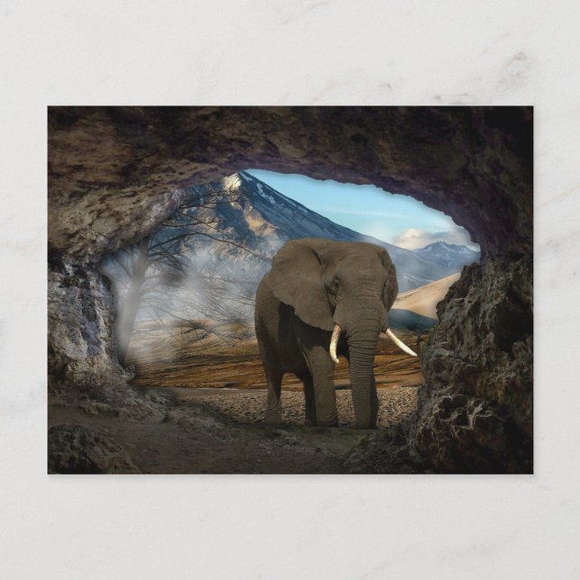 Elephant Vykort (Framsida)