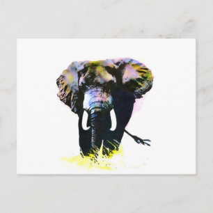 Elephant Vykort