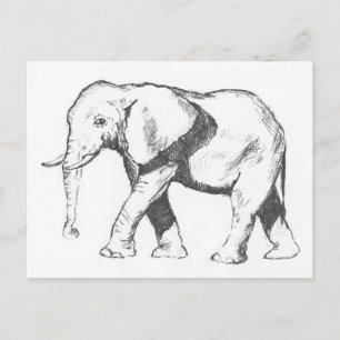 Elephant Vykort