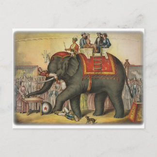Elephant Vykort