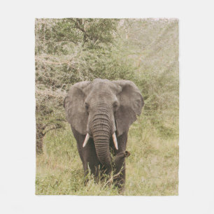 ELEPHANT WATCHAR EN TOUR CAR FLEECEFILT