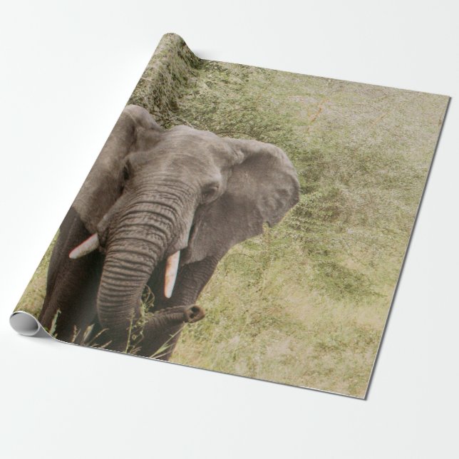 ELEPHANT WATCHAR EN TOUR CAR PRESENTPAPPER (Utrullad)