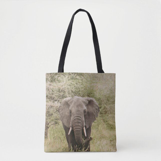 ELEPHANT WATCHAR EN TOUR CAR TYGKASSE (Framsida)