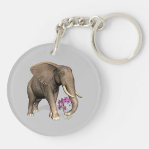 Elephant with Rosa Orchid