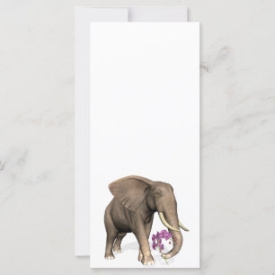 Elephant with Rosa Orchid