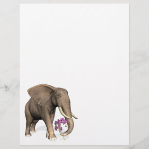 Elephant with Rosa Orchid
