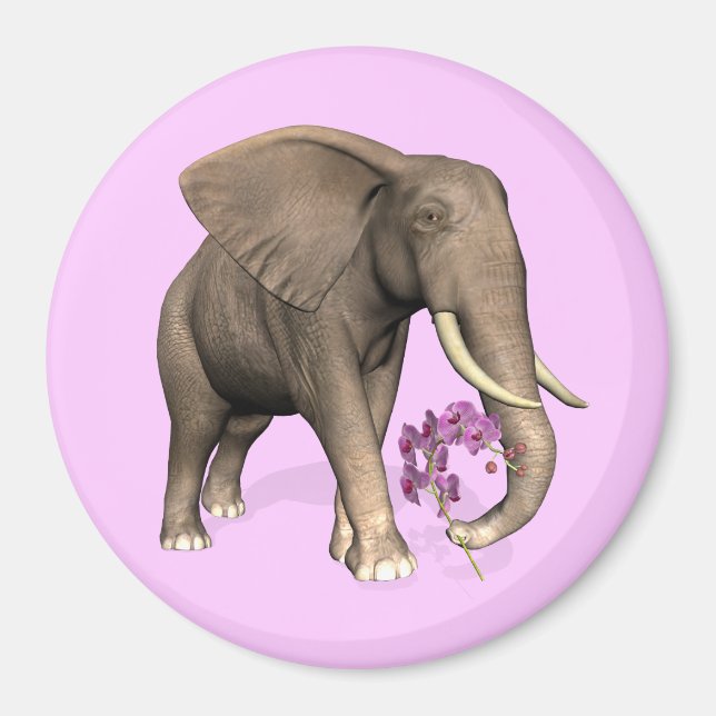 Elephant with Rosa Orchid Magnet (Framsidan)