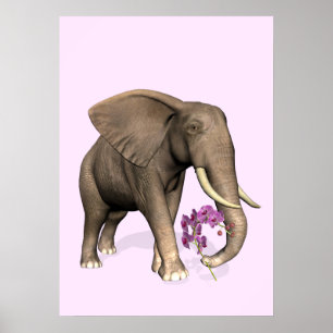 Elephant with Rosa Orchid Poster