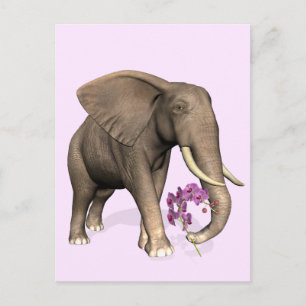 Elephant with Rosa Orchid Vykort