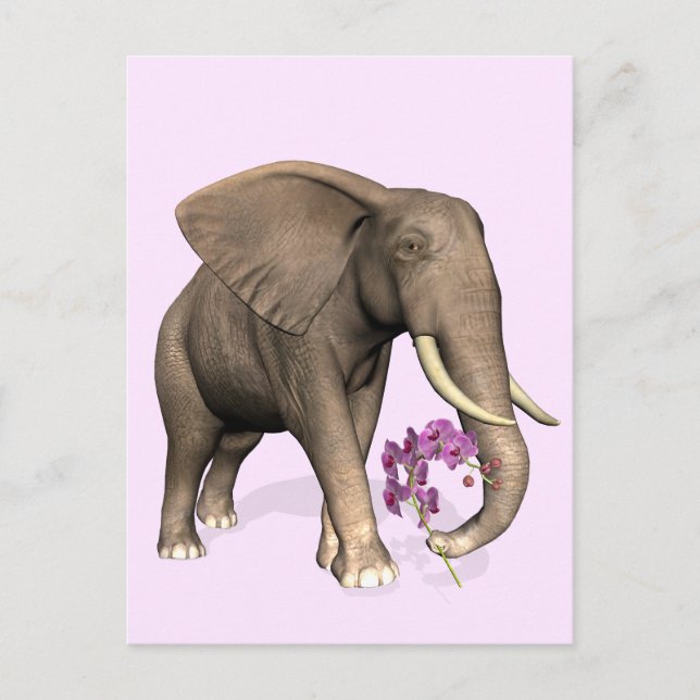 Elephant with Rosa Orchid Vykort (Framsida)