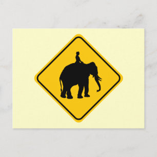 Elephantback Rider Crossing Vykort