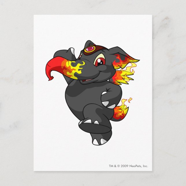 Elephante avfyrar vykort (Framsida)