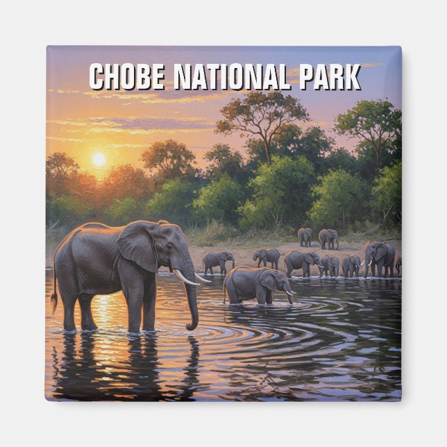 Elephanter i Chobe National Park Botswana Magnet (Framsidan)
