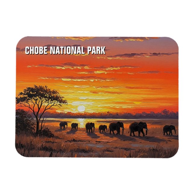 Elephanter i Chobe National Park Botswana Magnet (Horisontell)