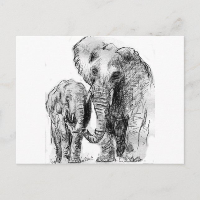 elephantonajourney vykort (Framsida)