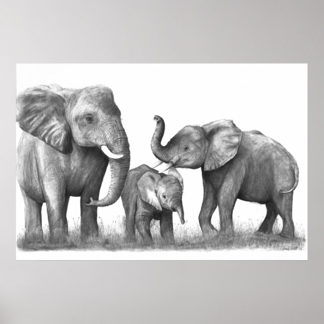 Elephants_3 Poster (Framsidan)