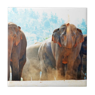 Elephants Animals Safari Destiny Peace Kärlek Kakelplatta