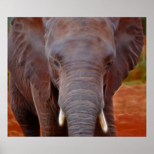 Elephants-avgift Poster