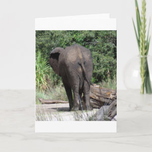 Elephants baksida helgkort