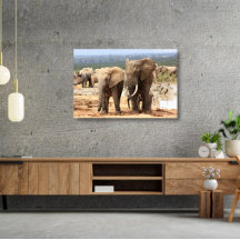 Elephants bredvid Canvas Framed