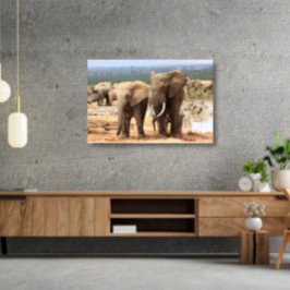 Elephants bredvid Canvas Framed