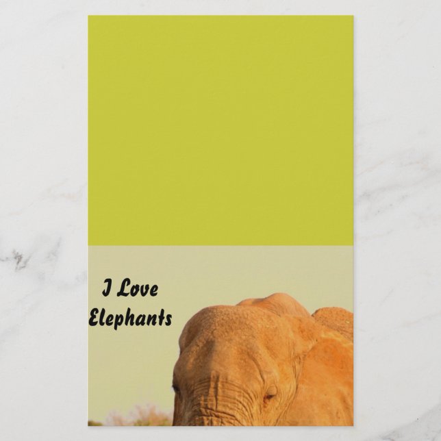 Elephants Brevpapper (Framsida)